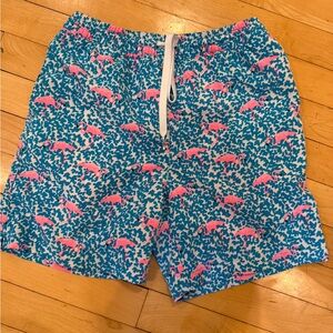 Chubbies Blue and Pink Patterned swimming trunks